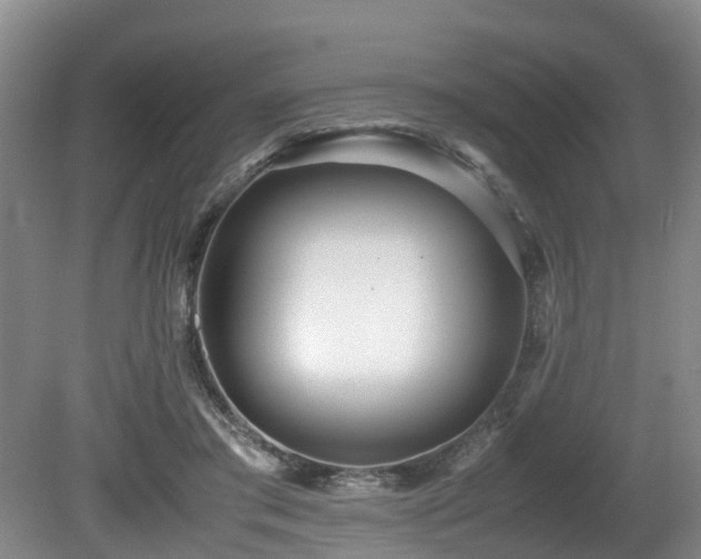 X0000080700405200612151320