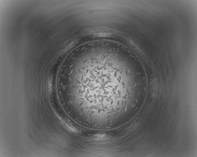 X0000080700406200612151320