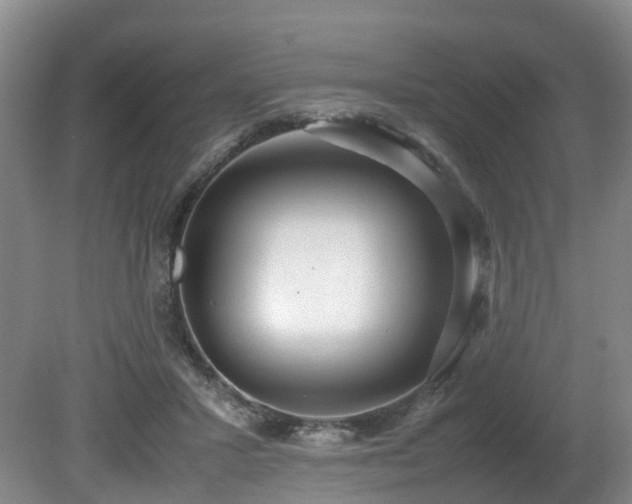 X0000080700407200612151320