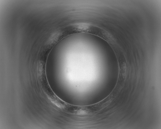 X0000080700412200612151320