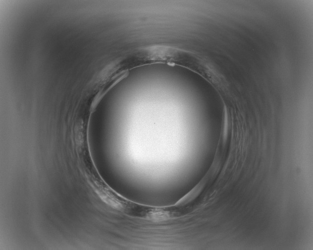 X0000080700413200612151320