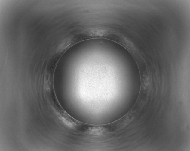X0000080700414200612151320