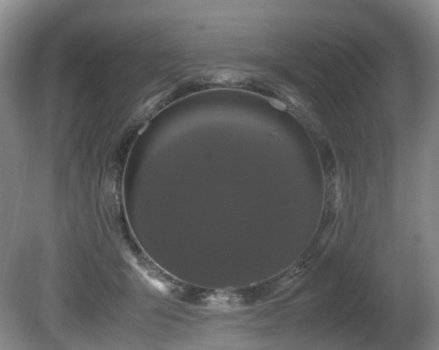 X0000080700415200612151320