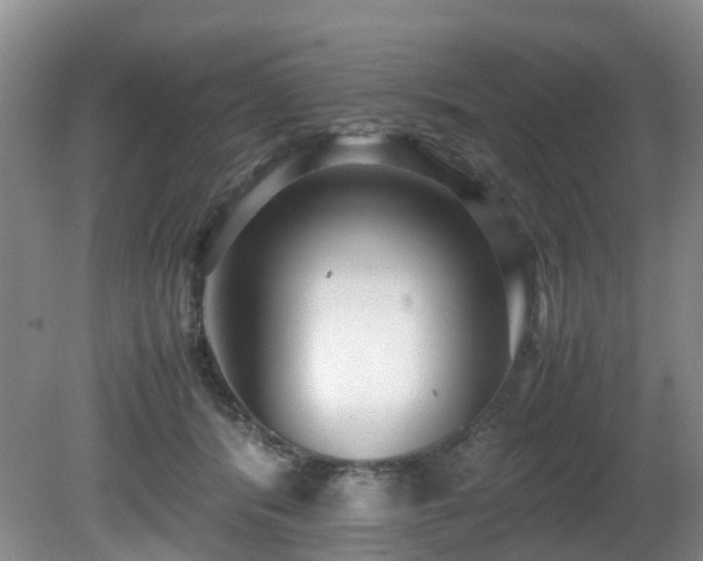 X0000080700416200612151320