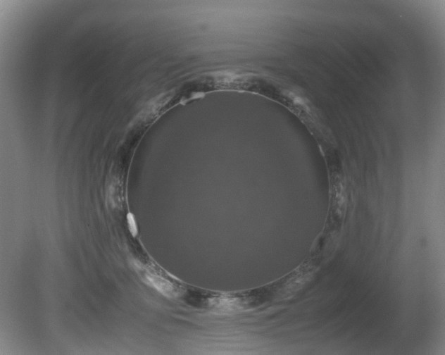 X0000080700419200612151320