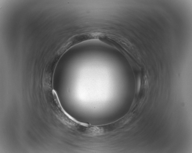X0000080700421200612151319