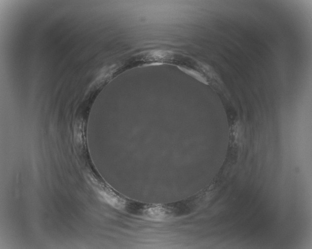X0000080700423200612151319