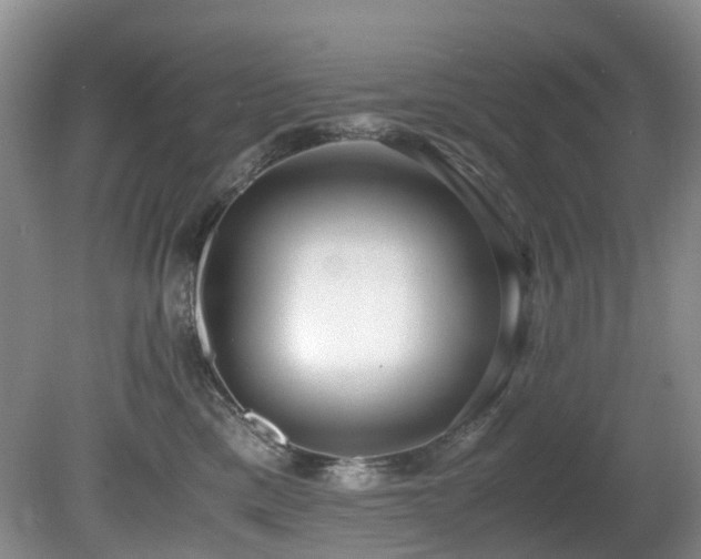 X0000080700425200612151319