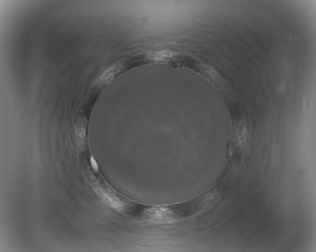 X0000080700427200612151319