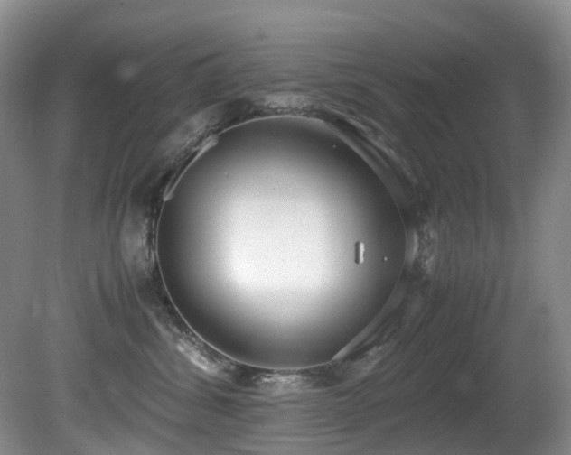 X0000080700428200612151319