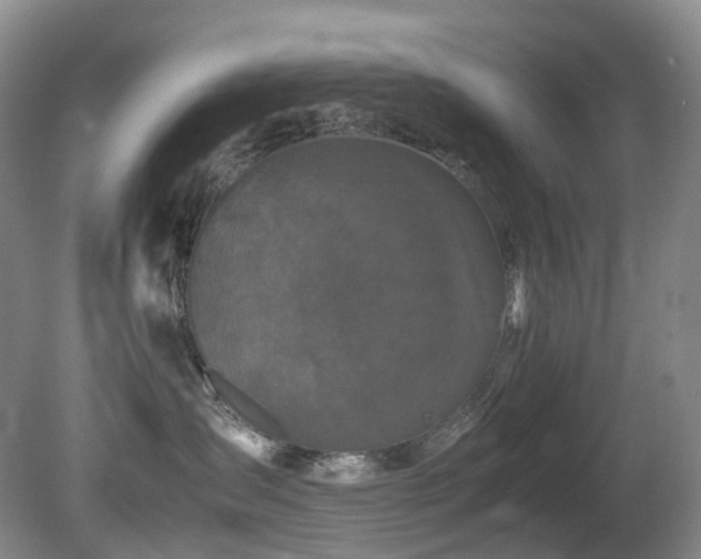 X0000080700431200612151319