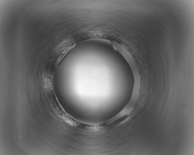 X0000080700432200612151319