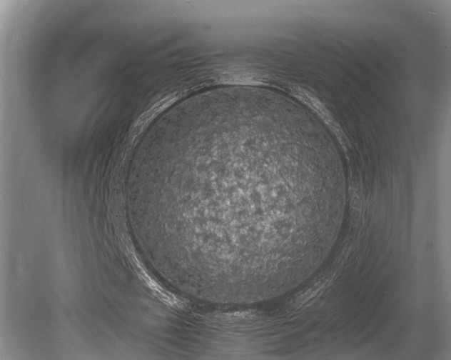 X0000080700433200612151319