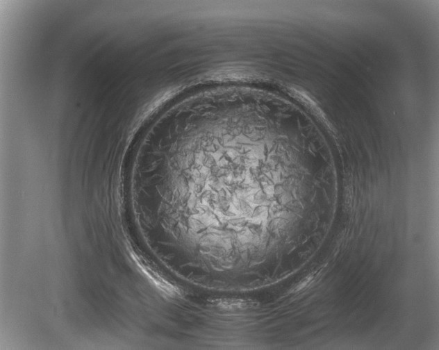 X0000080700439200612151319