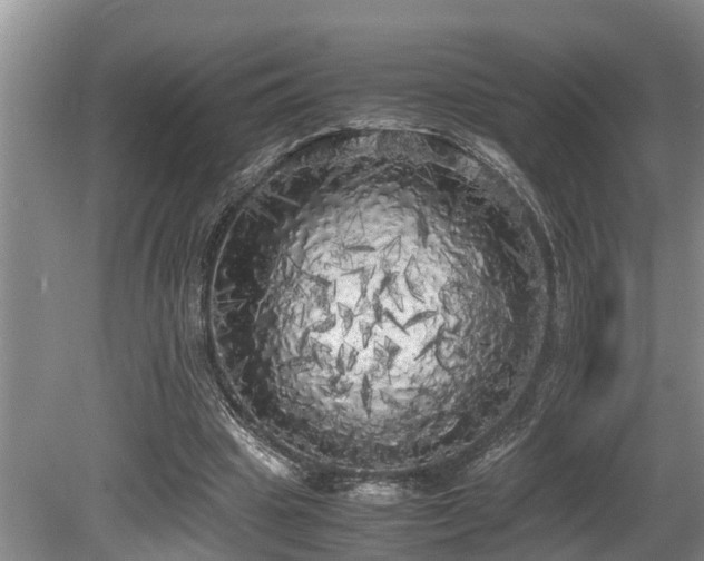 X0000080700441200612151319