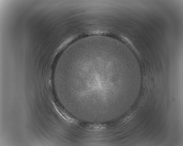 X0000080700443200612151319