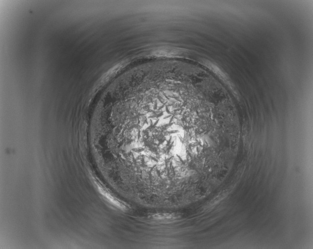 X0000080700445200612151319