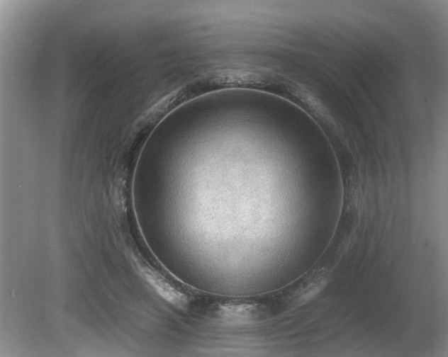 X0000080700450200612151319