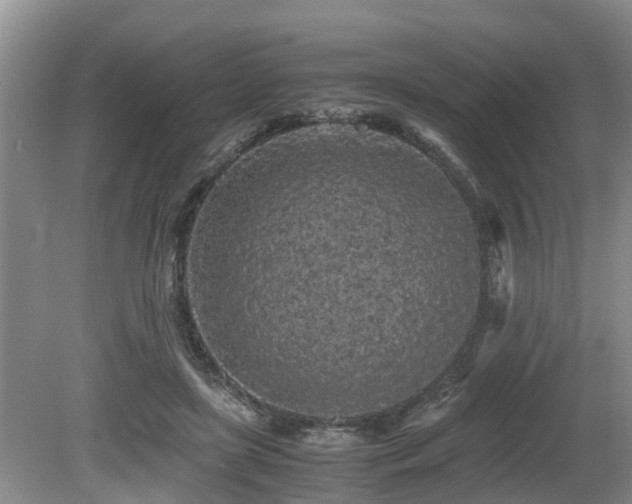 X0000080700451200612151319