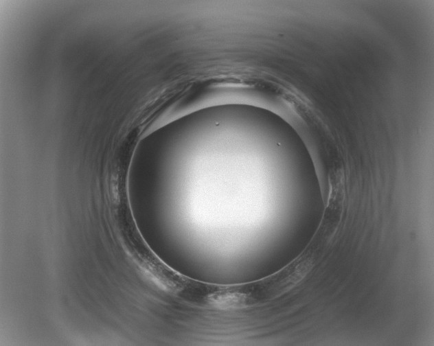 X0000080700452200612151319