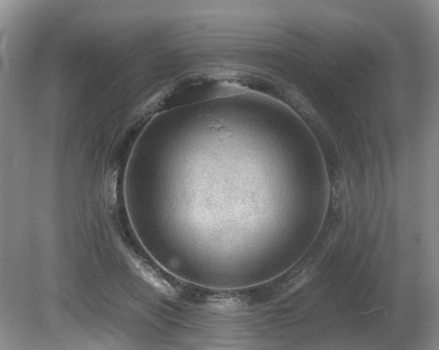 X0000080700454200612151319