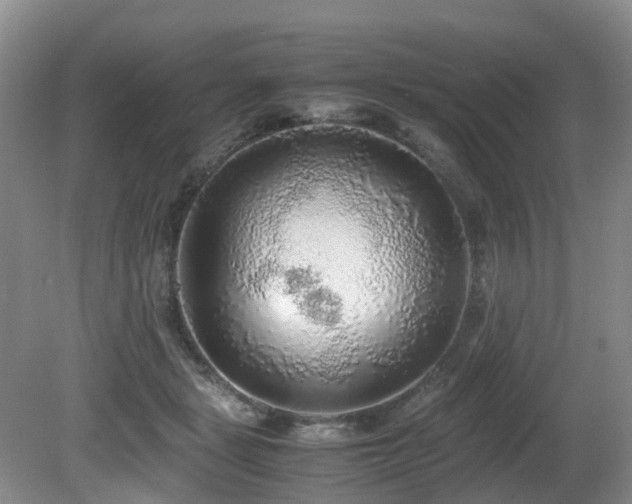 X0000080700461200612151319