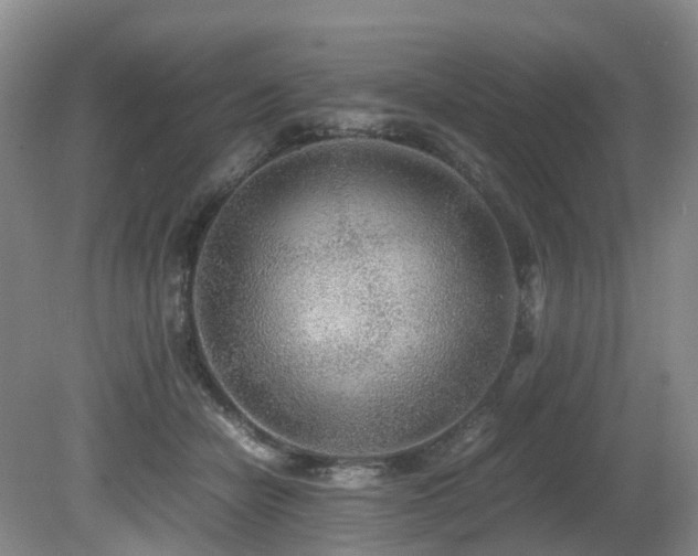 X0000080700462200612151319