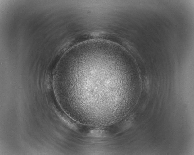 X0000080700470200612151319