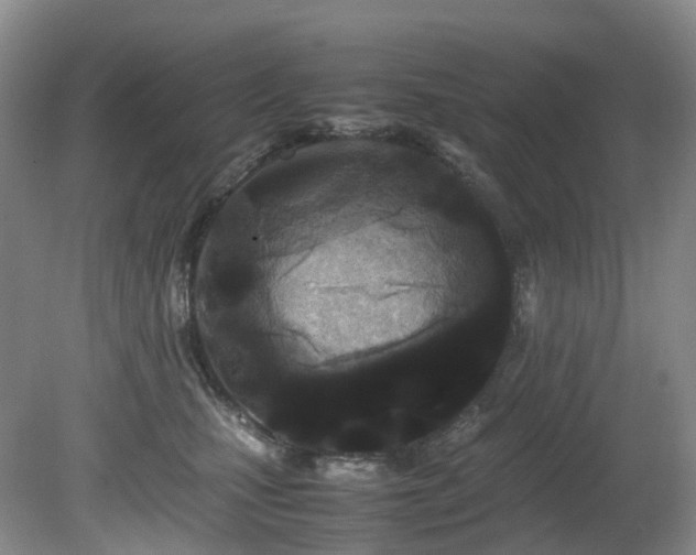 X0000080700471200612151319