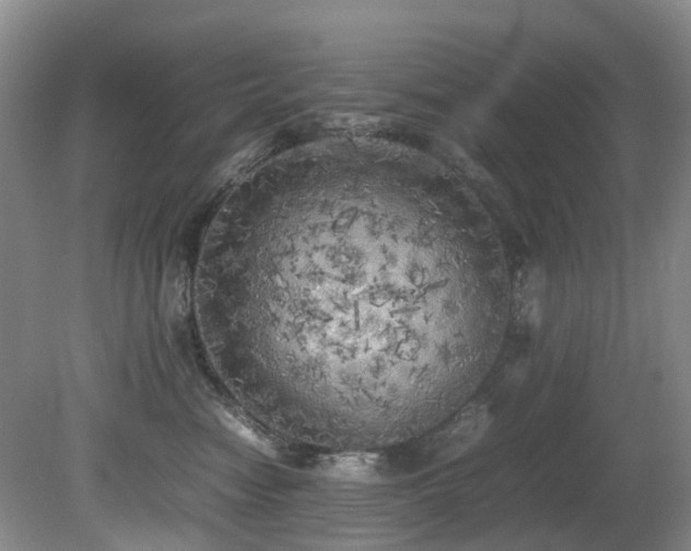 X0000080700474200612151319