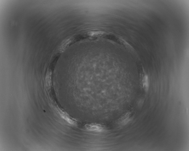 X0000080700475200612151319