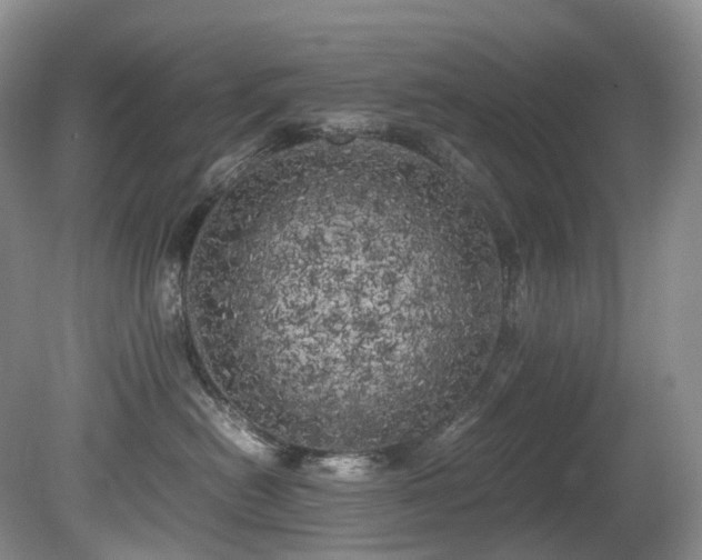 X0000080700478200612151319