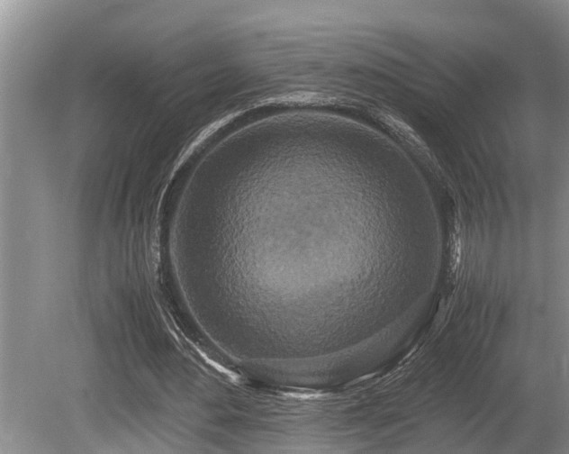 X0000080700484200612151318