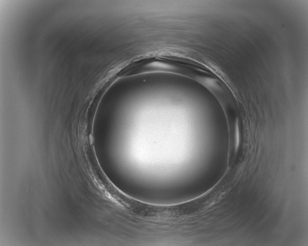 X0000080700485200612151318