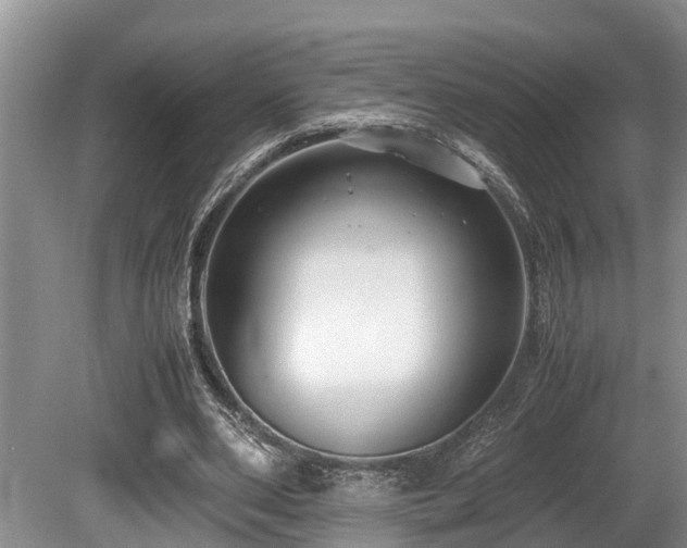 X0000080700486200612151318