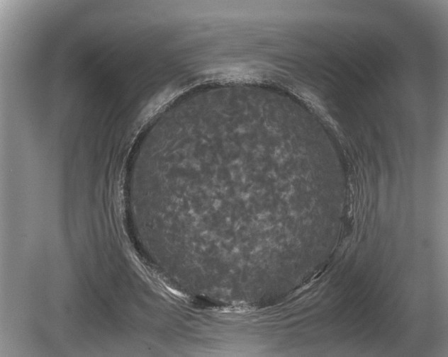 X0000080700487200612151318