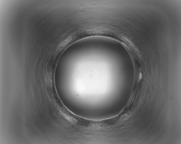 X0000080700489200612151318
