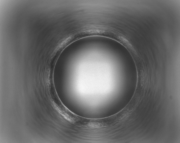 X0000080700490200612151318