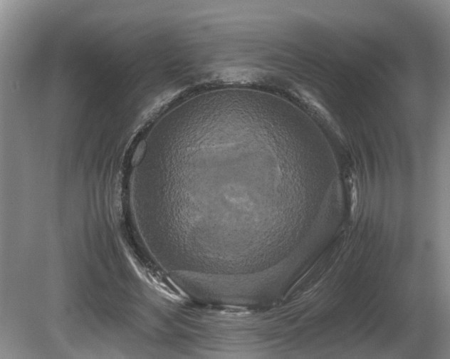 X0000080700492200612151318
