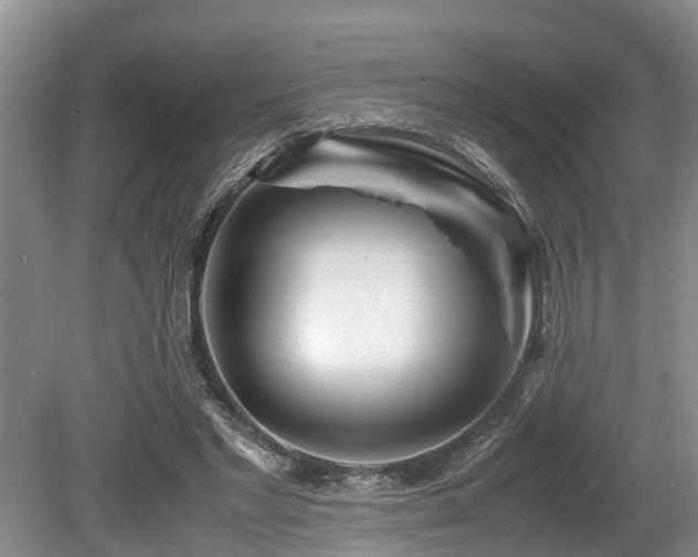 X0000080700493200612151318