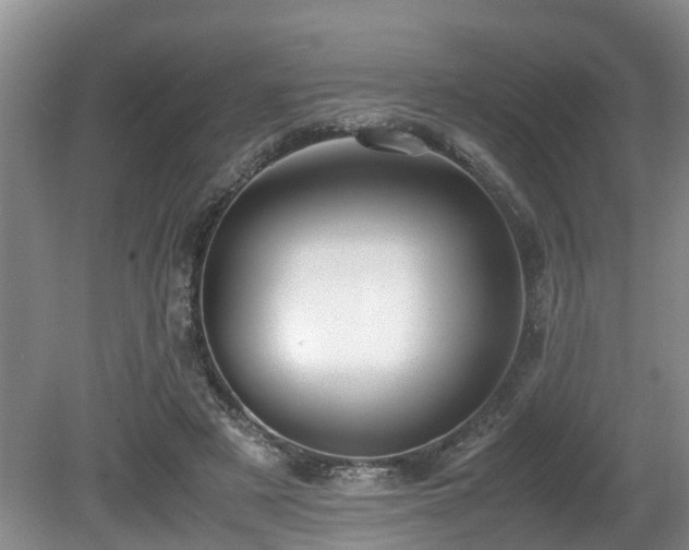X0000080700497200612151318