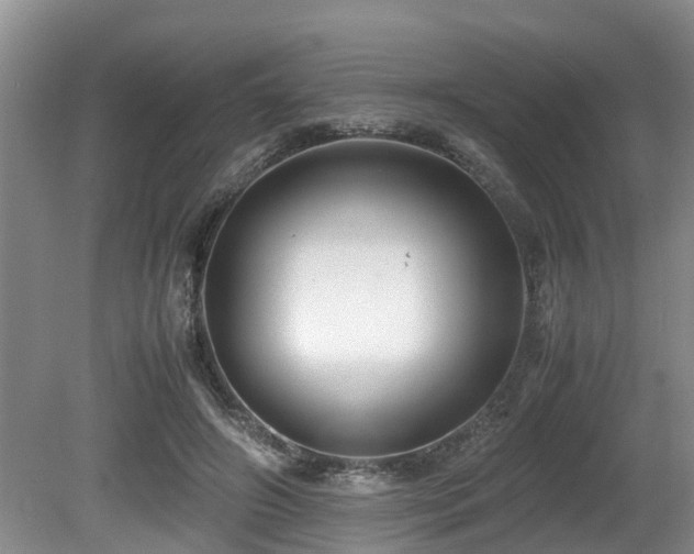 X0000080700498200612151318