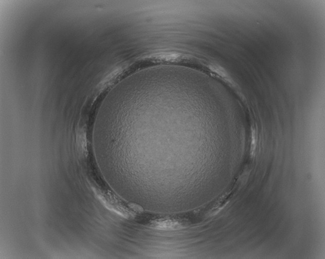 X0000080700500200612151318