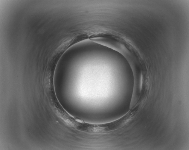 X0000080700501200612151318