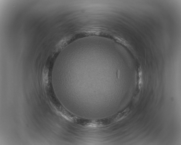 X0000080700504200612151318