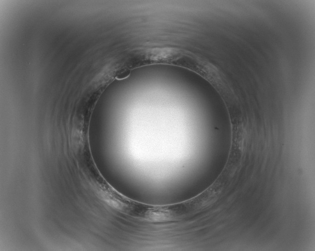 X0000080700510200612151318