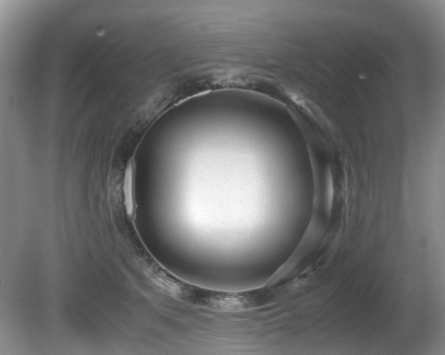 X0000080700513200612151318