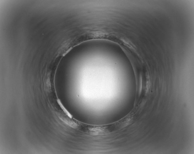 X0000080700516200612151318