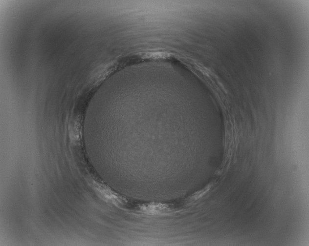 X0000080700517200612151318