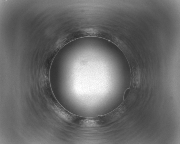 X0000080700518200612151318